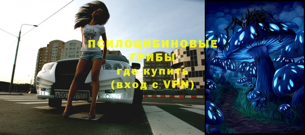 не бодяженный Алексин